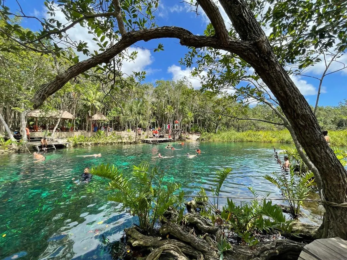 Casa Semilla Tulum Best Location To Explore Cenotes Holiday home