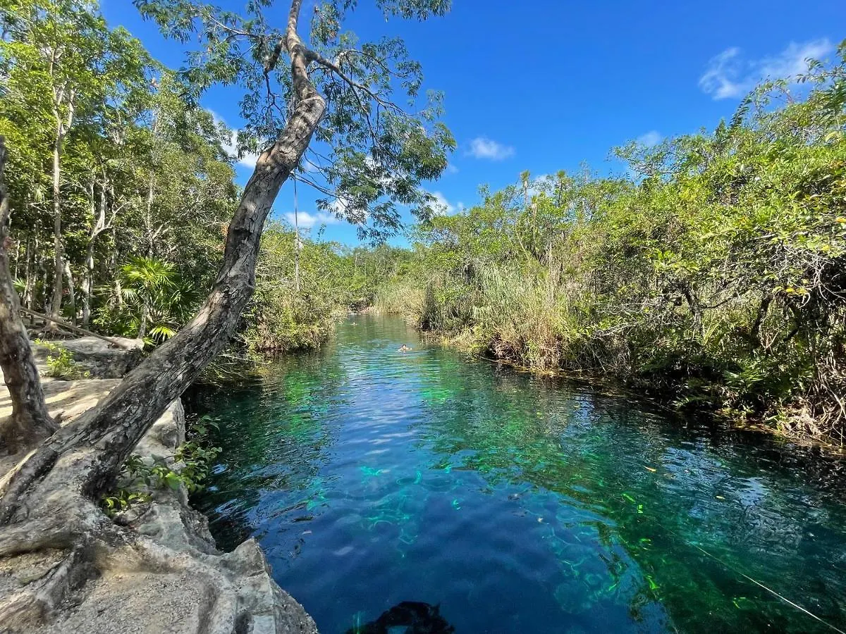 Casa SEMILLA TULUM best location to explore Cenotes México